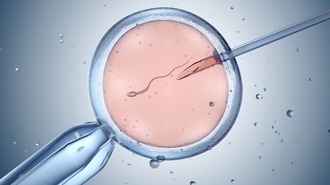 IVF / ICSI